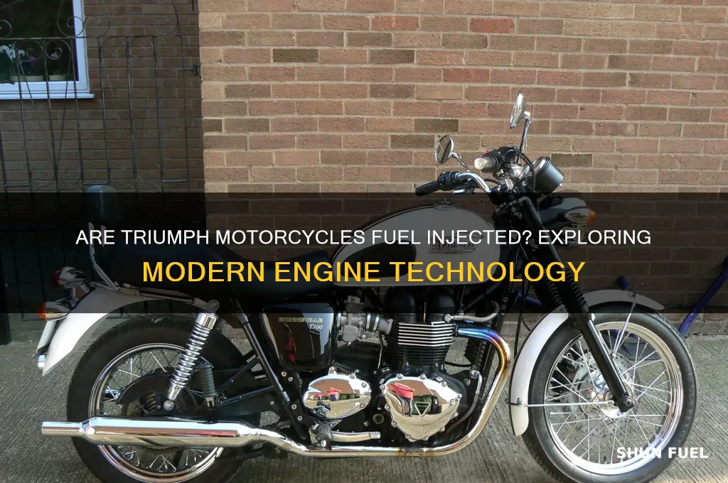 are triumph motorcycles fuel injected