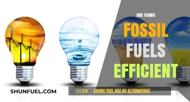 Fossil Fuels: Efficient Energy or Environmental Disaster?
