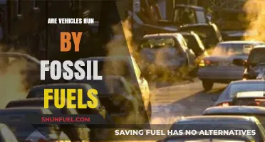 The Future of Fossil Fuel Vehicles