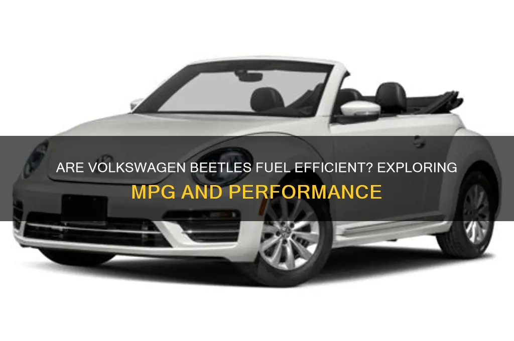 are volkswagen beetles fuel efficient