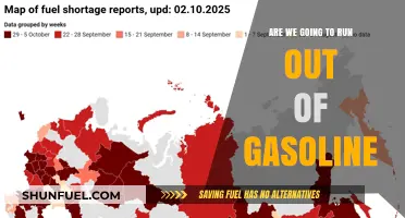 The Looming Question: Will Our Gasoline Supplies Soon Run Dry?