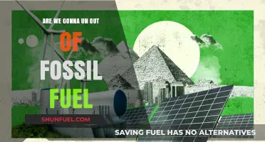 The Fossil Fuel Conundrum: Will We Ever Run Out?