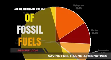 The Dark Truth: Fossil Fuel Usage is Rising