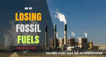 The Inevitable Depletion of Fossil Fuels