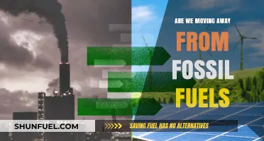 The Shift from Fossil Fuels: A Necessary Transition