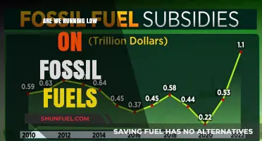 The Fossil Fuel Era: Is the End Near?