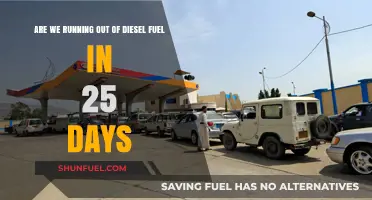Diesel Fuel: Running on Empty?