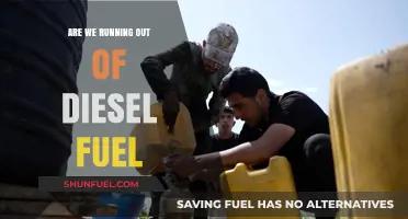 The Diesel Dilemma: Running on Empty?