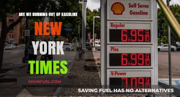 Examining the Gasoline Crisis: Insights from the New York Times