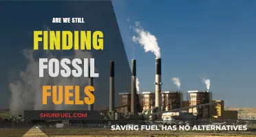 The Hunt for Fossil Fuels: Is It Over?