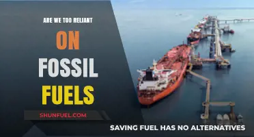 The Fossil Fuel Conundrum: Can We Escape?