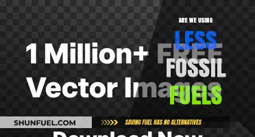 Fossil Fuels: Are We Reducing Our Dependence?