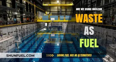 Can Nuclear Waste Be Repurposed as a Sustainable Fuel Source?