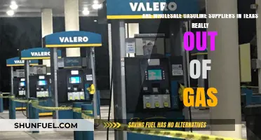 Texas Gasoline Suppliers: The Truth Behind the Empty Tanks