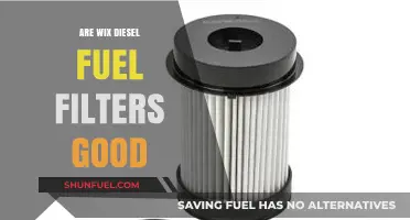 Wix Diesel Fuel Filters: Are They Worth the Hype?