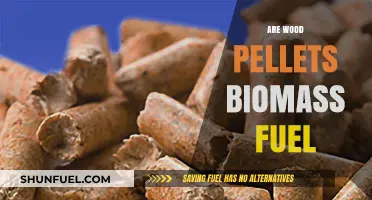 Wood Pellets as Biomass Fuel: Sustainable Energy Explained