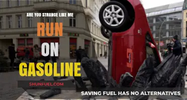 Embracing Oddity: My Life Runs on Gasoline and Yours?