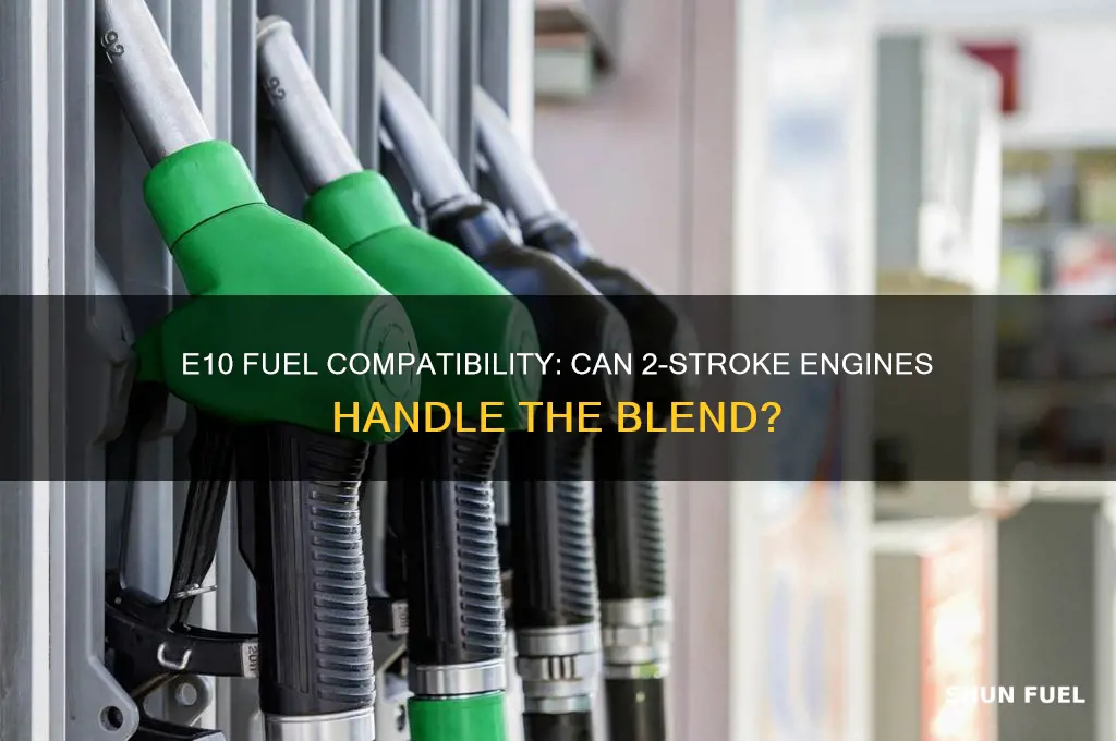 can 2 stroke engines run on e10 fuel