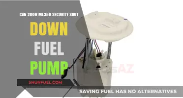 ML350 Security System: Can It Disable the Fuel Pump in 2006 Models?