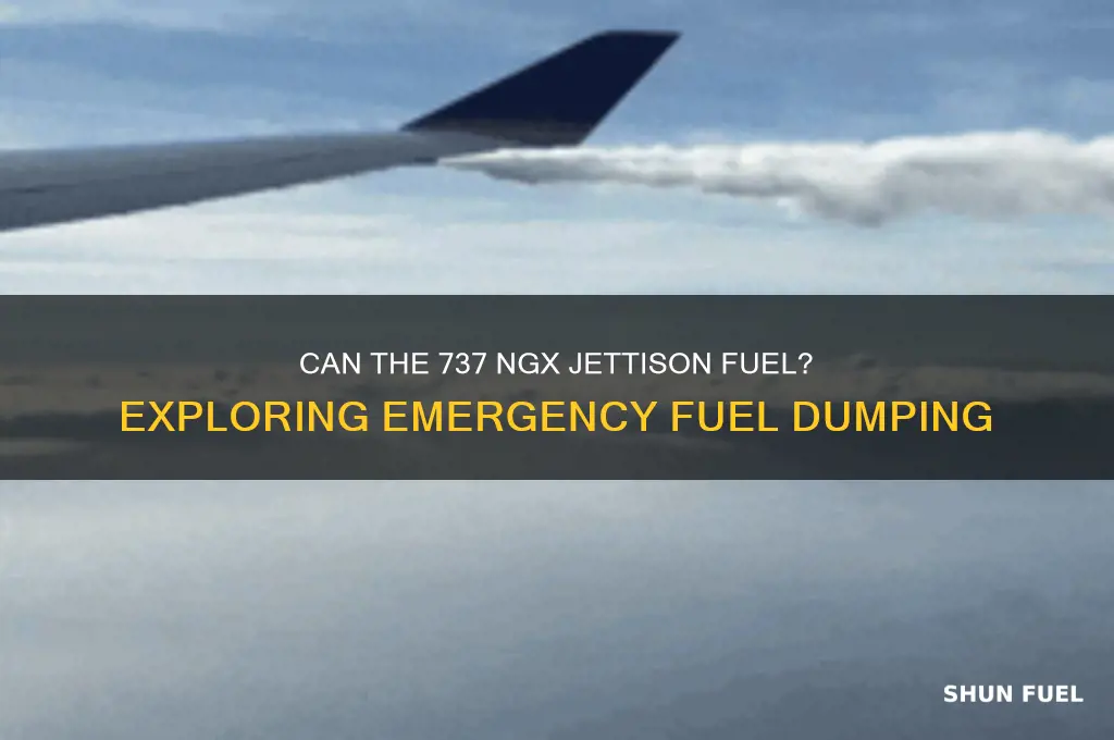 can 737 ngx jettison fuel