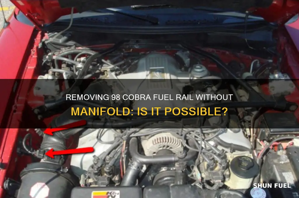 can 98 cobra fuel rail be removed with manifold on