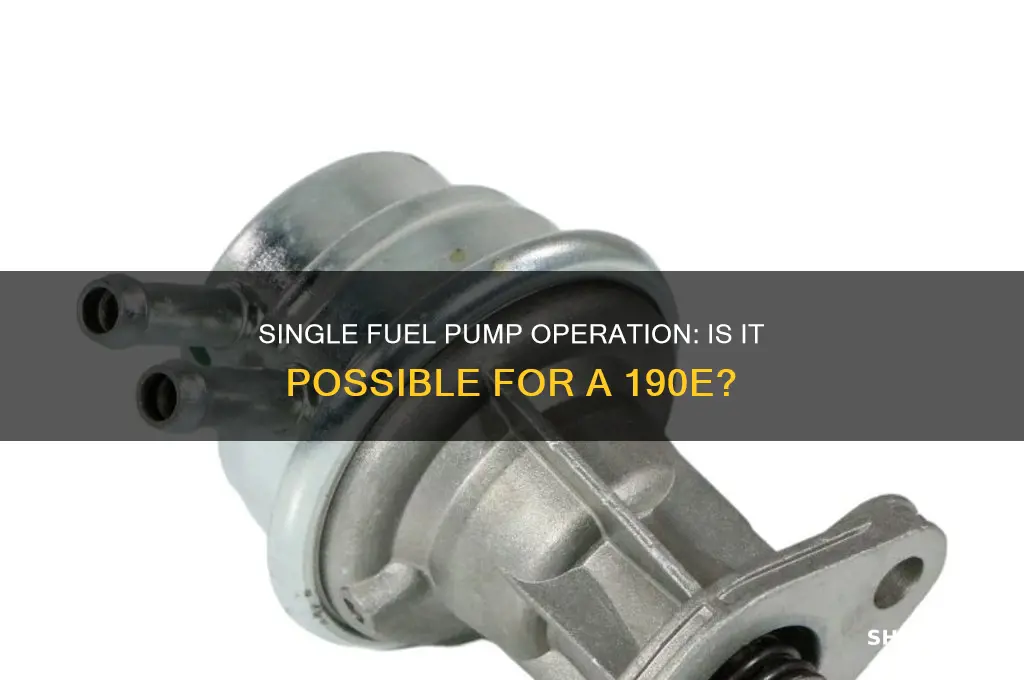 can a 190e run on one fuel pump