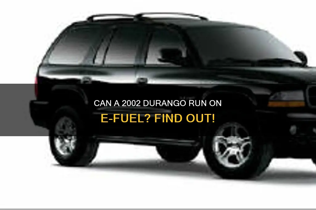 can a 2002 durango use e fuel