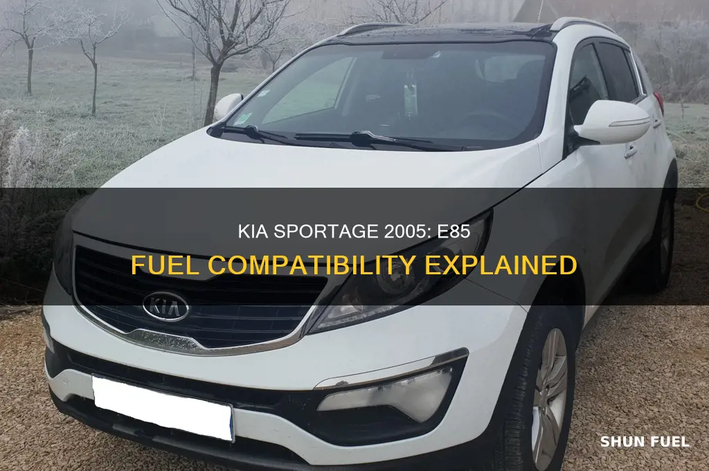 can a 2005 kia sportage use e85 fuel