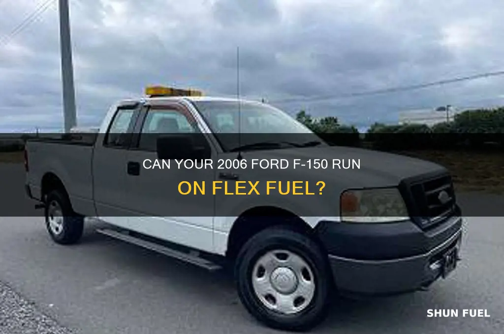 can a 2006 ford f 150 use flex fuel