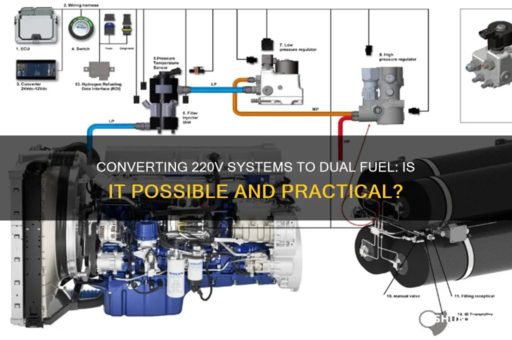 can a 220 be coverted to dual fuel