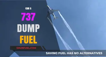 Can Boeing 737s Dump Fuel? Exploring Emergency Fuel Jettison Procedures