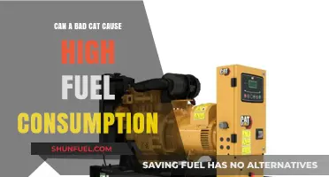 Bad Cat Habits: Unexpected Link to High Fuel Consumption Explained