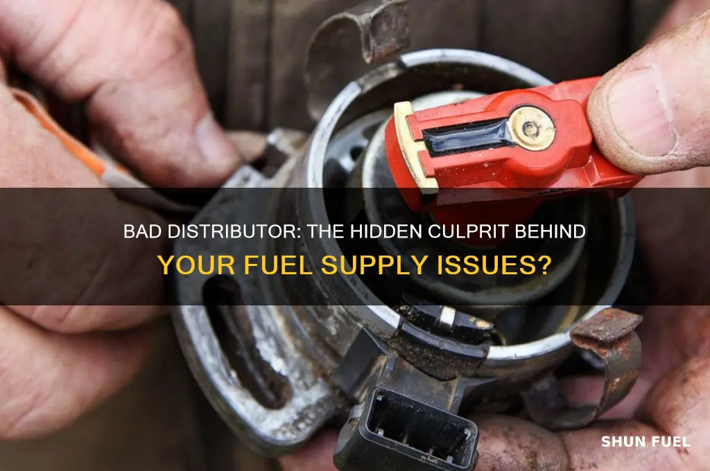 can a bad distributor cause no fuel