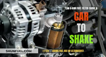 Shaking Car: Fuel Filter's Fault or Something Else?