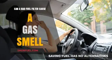 Fuel Filter Failure: Gas Smell Culprit?