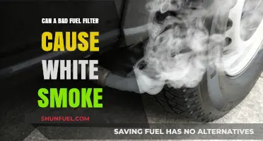 Fuel Filter and White Smoke: What's the Link?