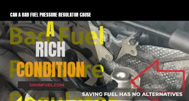 Fuel Pressure Regulator: Rich Condition Culprit?