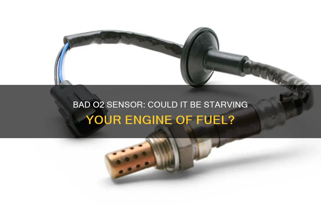 can a bad o2 sensor cause no fuel to motor