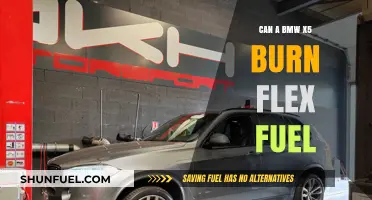 Can BMW X5 Run on Flex Fuel? Compatibility Explained