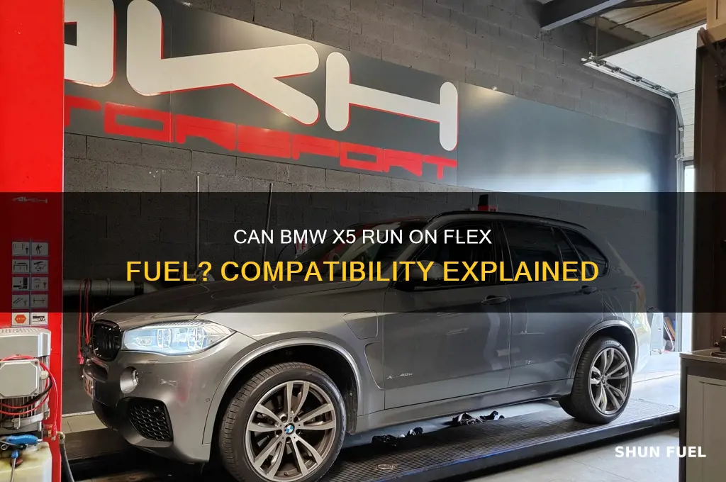 can a bmw x5 burn flex fuel