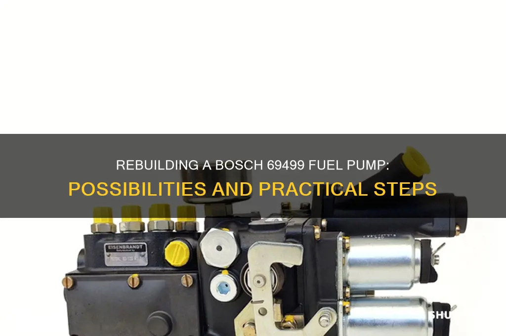 can a bosch 69499 fuel pump be rebuilt