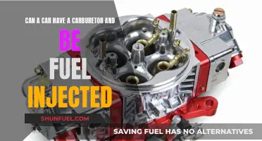 Carburetor and Fuel Injection: A Dual-Fuel Engine's Tale