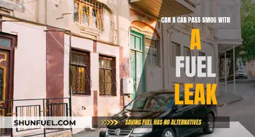 Fuel Leaks and Smog Tests: Can Your Car Pass?