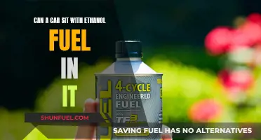 Ethanol Fuel: Safe to Keep in Your Car?