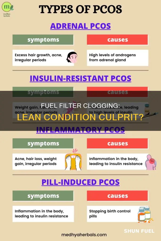 can a clogged fuel filter cause a lean condition