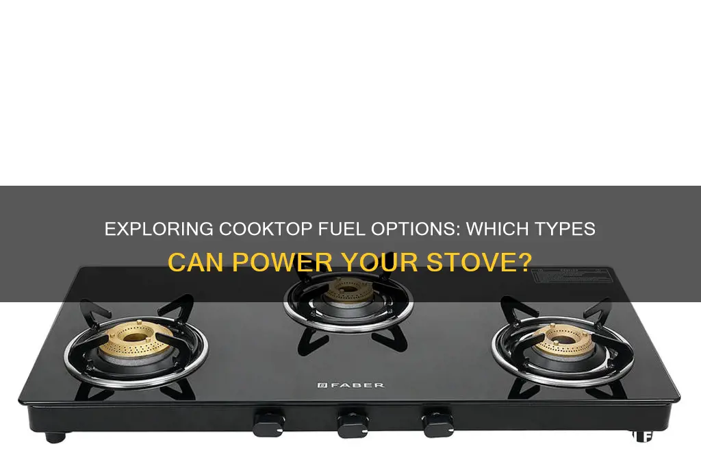 can a cooktop run on any type of fuel