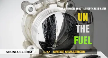 Cracked Throttle Body: A Hidden Cause of Water in Fuel?