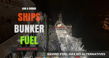 Cruise Ships' Bunker Fuel: Environmental Impact and Sustainable Alternatives