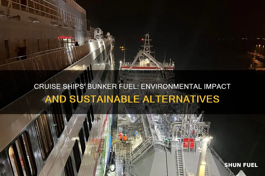 can a cruise ships bunker fuel