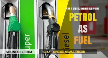 Diesel Engines and Petrol: A Compatible Mix?